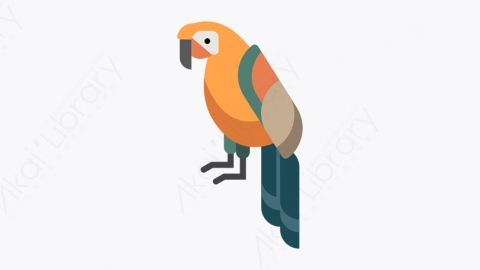 图片素材-020_鹦鹉_parrot