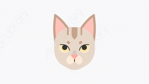 图片素材-020_新加坡猫_singapura_cat