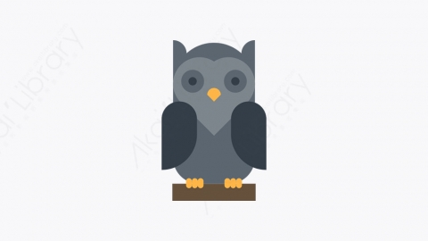 图片素材-021_猫头鹰_owl