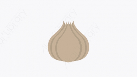 图片素材-022_丁香蒜_Clove_garlic