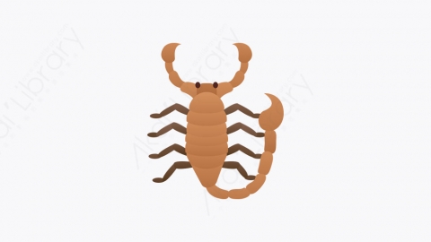 图片素材-022_蝎子_scorpion