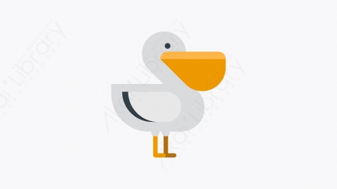 图片素材-023_鹈鹕_pelican