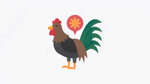 图片素材-023_家禽_poultry