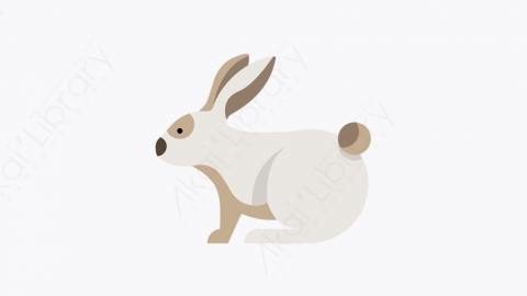 图片素材-023_兔子_rabbit