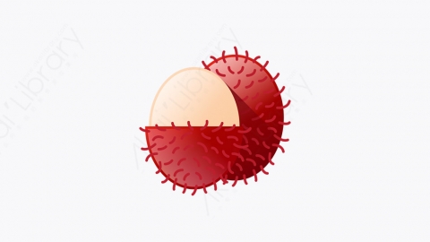 图片素材-023_红毛丹_rambutan
