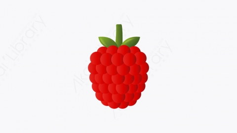 图片素材-024_覆盆子_Raspberry