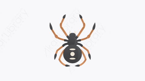 图片素材-024_蜘蛛_black_widow