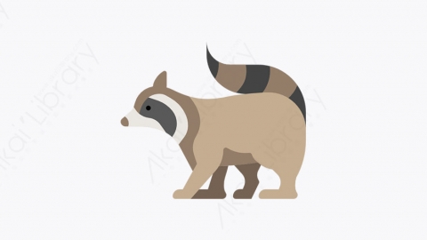 图片素材-024_浣熊_raccoon