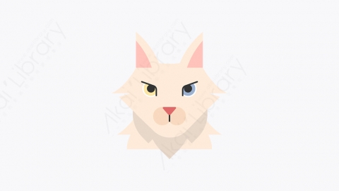 图片素材-024_土耳其安哥拉猫_turkish_angora