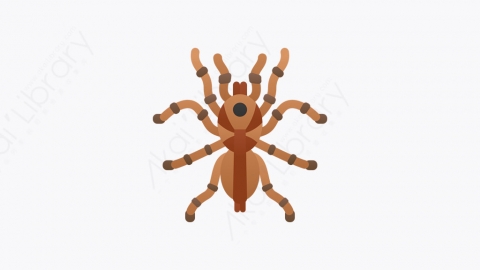 图片素材-025_狼蛛_tarantula