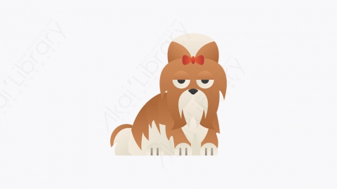 图片素材-026_宠物犬_shih_tzu