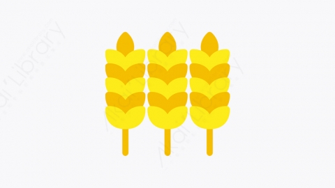 图片素材-027_粮食_grain