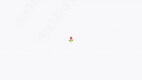 图片素材-028_玫瑰_rose