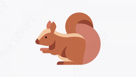 图片素材-028_松鼠_squirrel