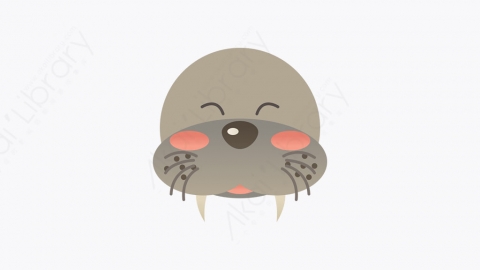 图片素材-028_海象_walrus