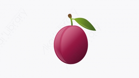 图片素材-029_梅子_plum