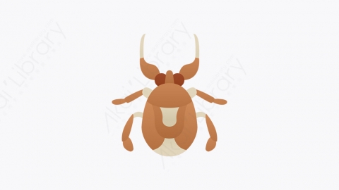 图片素材-029_水虫_water_bug