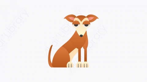 图片素材-029_宠物犬_whippet