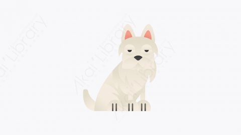图片素材-030_雪纳瑞_white_terrier