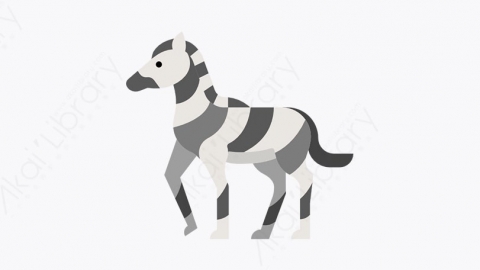 图片素材-030_斑马_zebra
