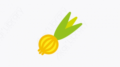 图片素材-032_洋葱_onions