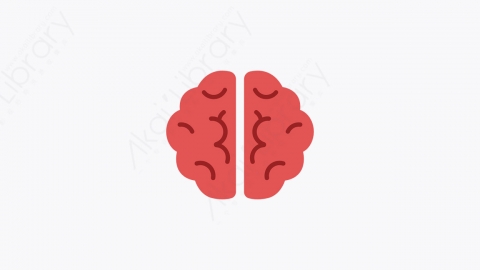 图片素材-033_脑_brain