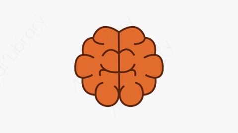 图片素材-036_大脑_brain