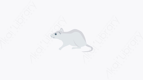 图片素材-039-鼠标mouse卡通扁平动物元素图标