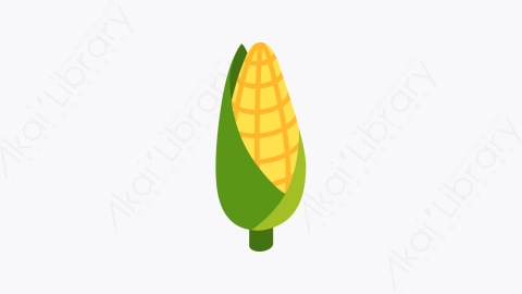 图片素材-031_玉米_corn