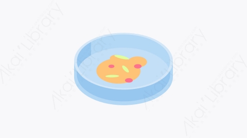 图片素材-018_培养皿_petri_dish
