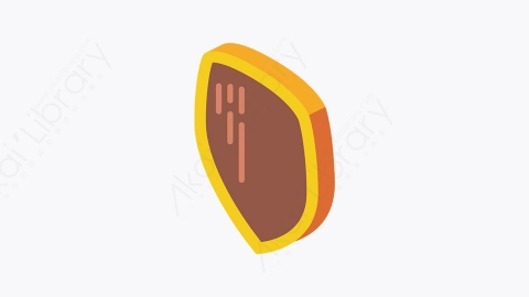 图片素材-032_奖品_awards_