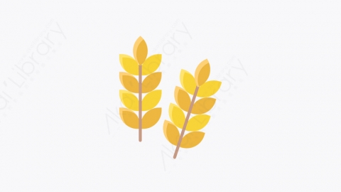 图片素材-013_谷物_grains