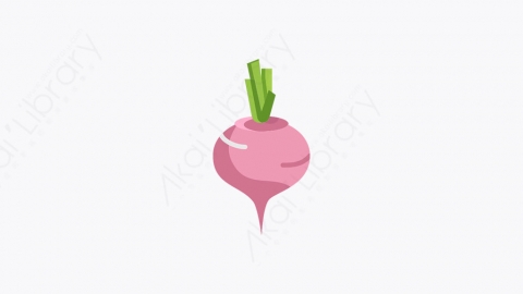 图片素材-001_甜菜根_beetroot