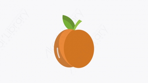 图片素材-004_杏_apricot