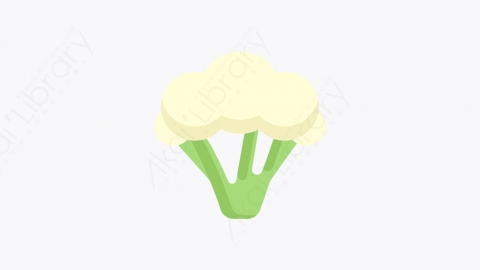 图片素材-013_花椰菜_cauliflower