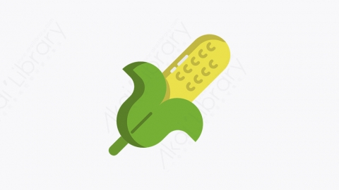 图片素材-014_玉米_corn