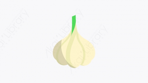 图片素材-017_大蒜_garlic