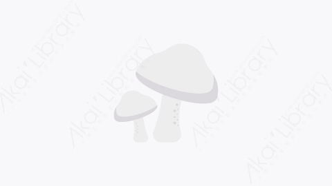 图片素材-0225-蘑菇mushrooms卡通扁平食物和饮料的元素图标
