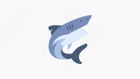 图片素材-016_鲨鱼_shark