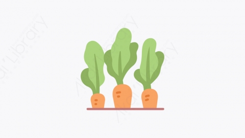 图片素材-003_胡萝卜_carrot