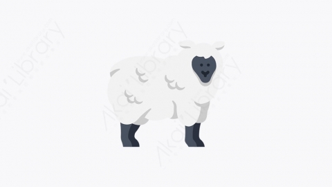 图片素材-025_羊_sheep