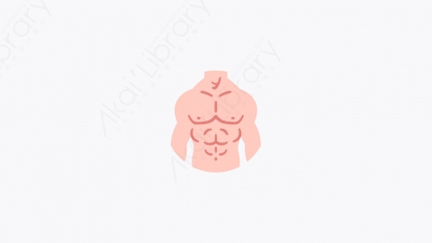 图片素材-005_人体_human_body