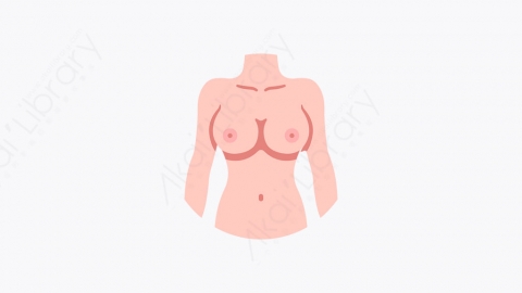 图片素材-008_人体_human_body
