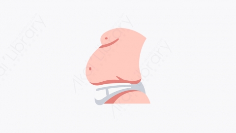图片素材-015_腹部_belly
