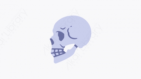 图片素材-025_颅骨_skull