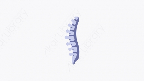 图片素材-030_脊柱_spine