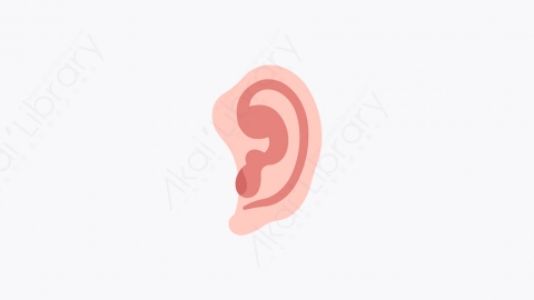 图片素材-033_耳朵_ears