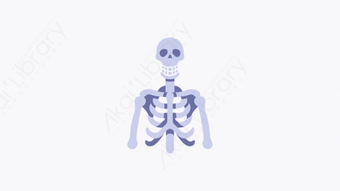 图片素材-037_骨架_skeleton