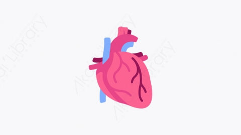 图片素材-038_心脏_heart