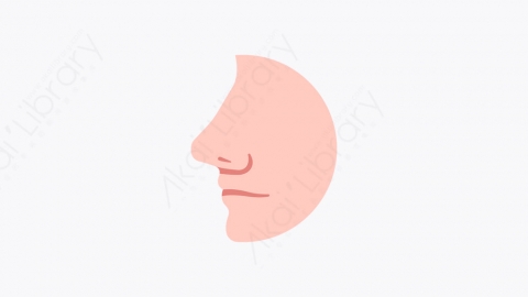 图片素材-044_鼻子_nose